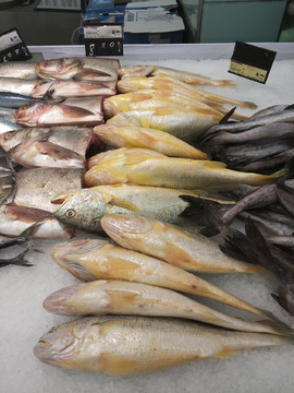 冷凍鮮魚 現代水產品消費的新趨勢