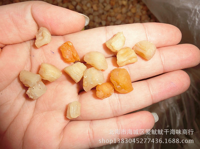 北海干貝瑤柱 一手貨源的漁民直達營養(yǎng)之選