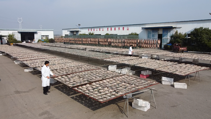 大冶 做足漁業(yè)文章，盤活水產(chǎn)經(jīng)濟，打造特色農(nóng)產(chǎn)品新名片