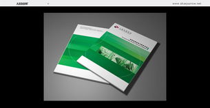 聚焦視覺傳達(dá) 解析上海浦東與太倉(cāng)地區(qū)的專業(yè)設(shè)計(jì)服務(wù)矩陣